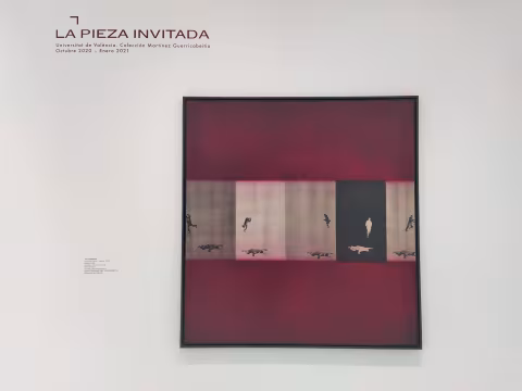 La-pieza-invitada_Genoves-scaled.jpg